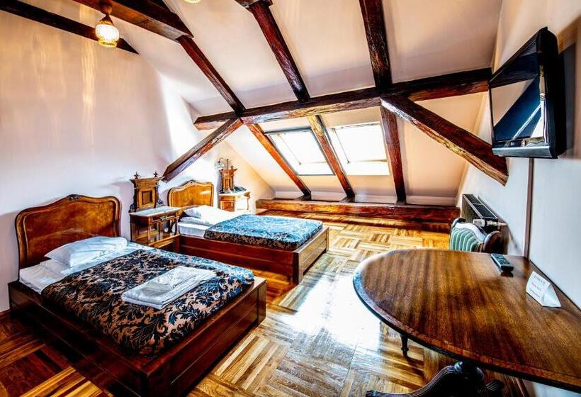 غرفة قياسية, Poesis Satu Mare