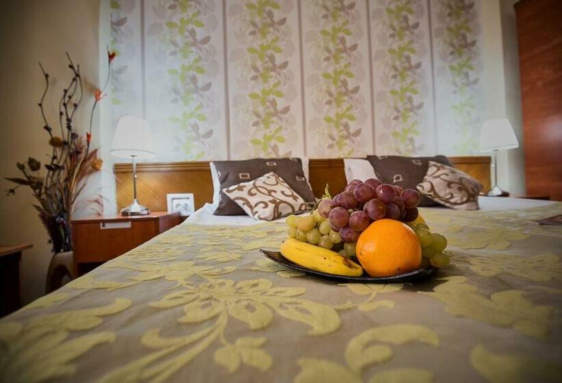 スタンダードルーム, Rina Cerbul