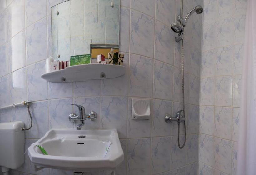 スタンダードトリプルルーム, Rina Cerbul