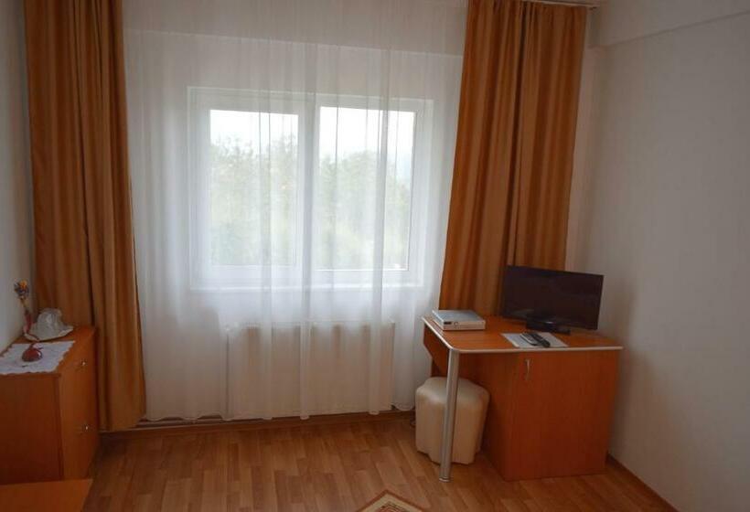 غرفة قياسية, Pensiunea Bujor De Munte