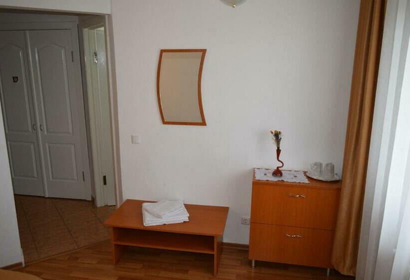 غرفة قياسية, Pensiunea Bujor De Munte