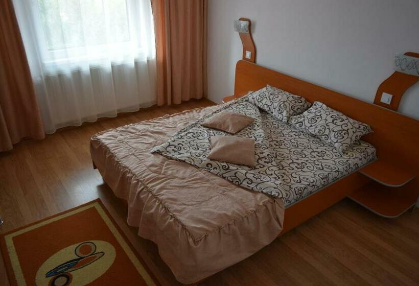 غرفة قياسية, Pensiunea Bujor De Munte