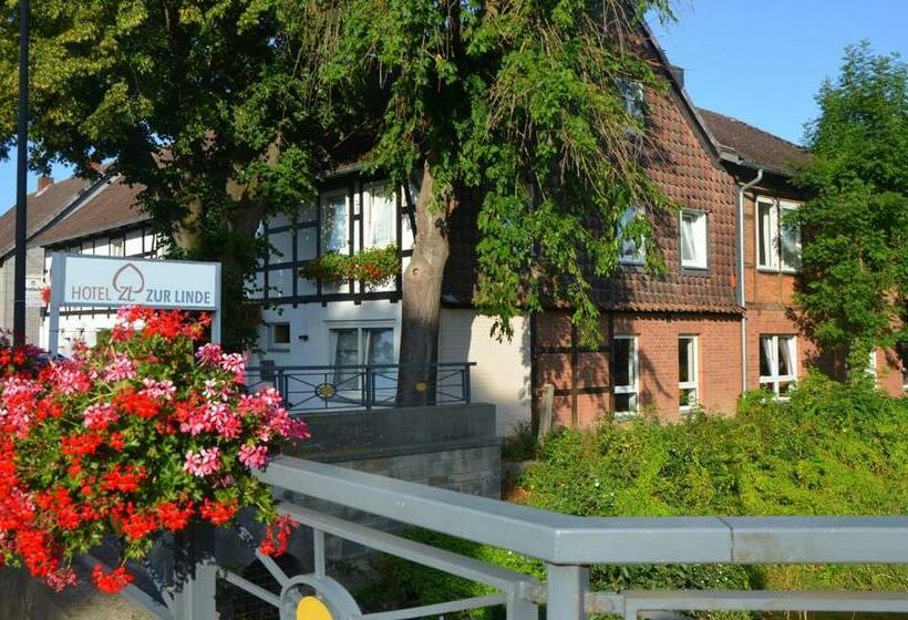 غرفة قياسية فردية, Zur Linde