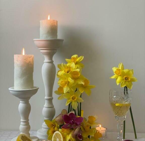 דירת חדר, Motel Carmen