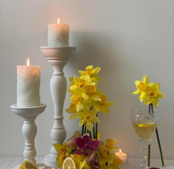 חדר סטנדרט, Motel Carmen