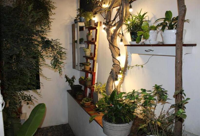 스탠다드 발코니 룸, La Casa Del Viajero