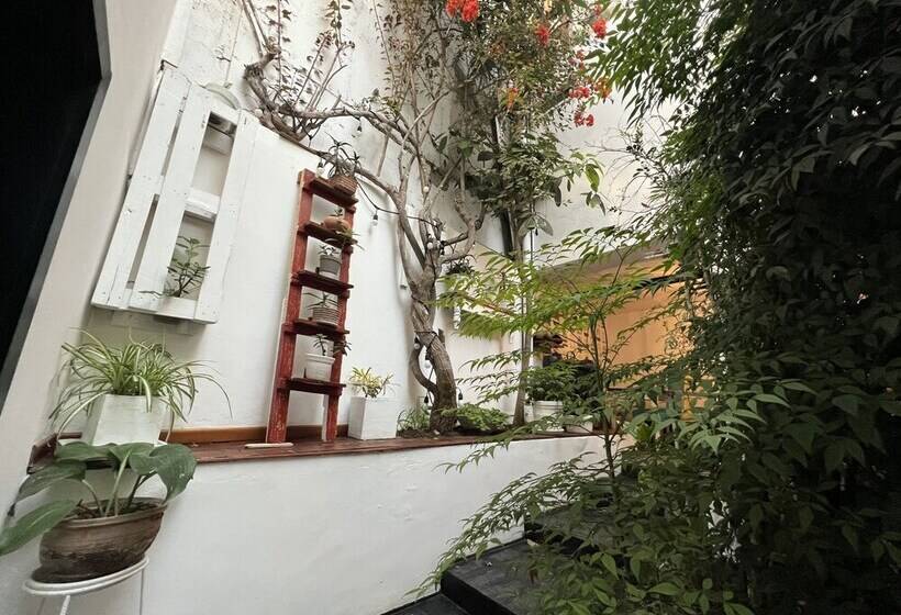 패밀리 룸, La Casa Del Viajero