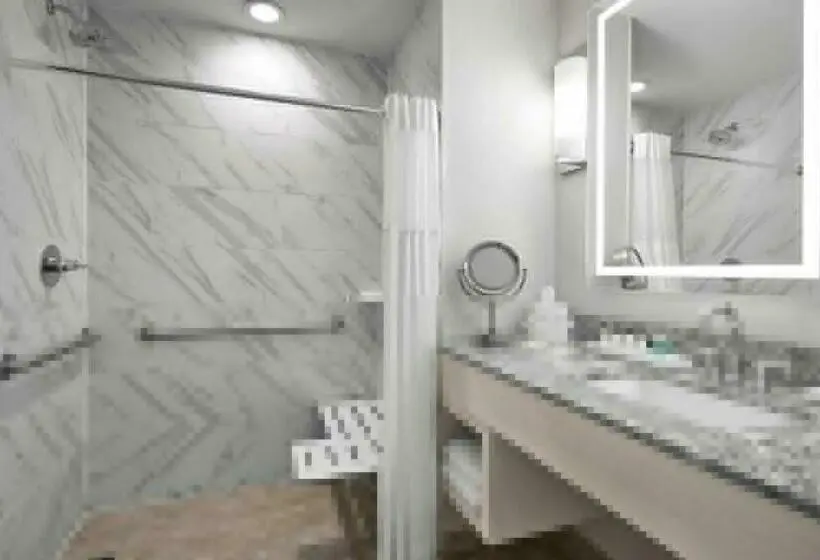 Deluxe-huone, Sonesta Hotel Baltimore Inner Harbor