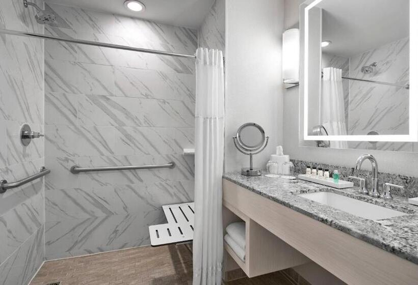 带大床的套房, Sonesta Hotel Baltimore Inner Harbor