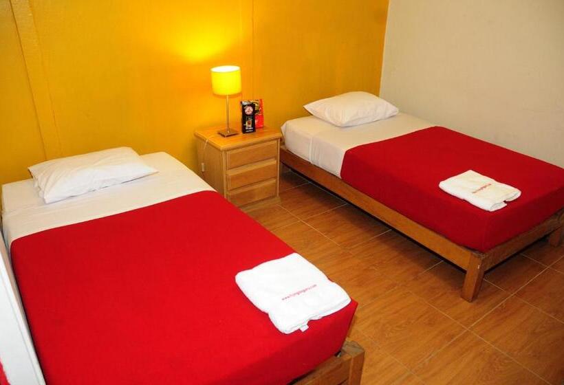 اتاق استاندارد, Flying Dog Hostel