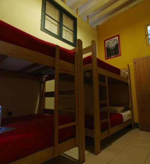 تختخواب در اتاق مشترک, Flying Dog Hostel