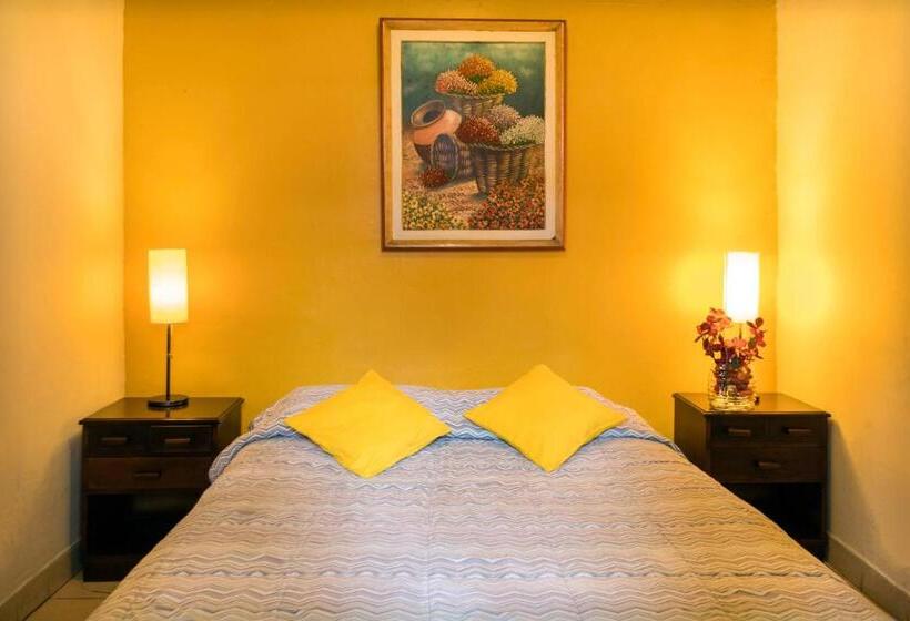 غرفة قياسية حمام مشترك, Flying Dog Hostel