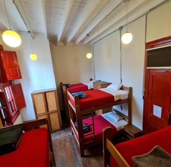 تختخواب در اتاق مشترک, Flying Dog Hostel