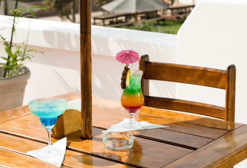 Standaardkamer met Terras, La Posada De Los Cóndores