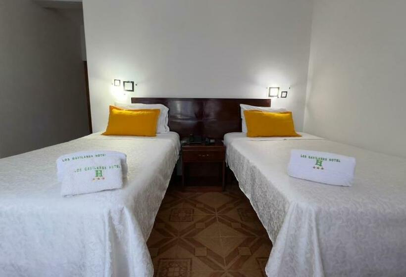 标准间, Los Gavilanes