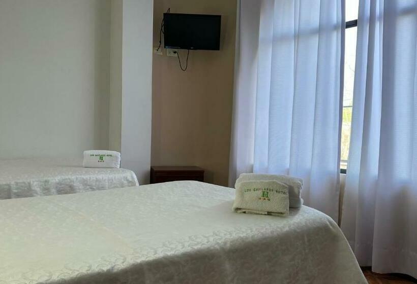 标准间, Los Gavilanes