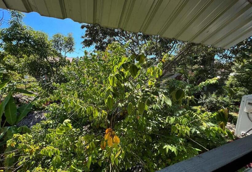 标准间, Los Gavilanes