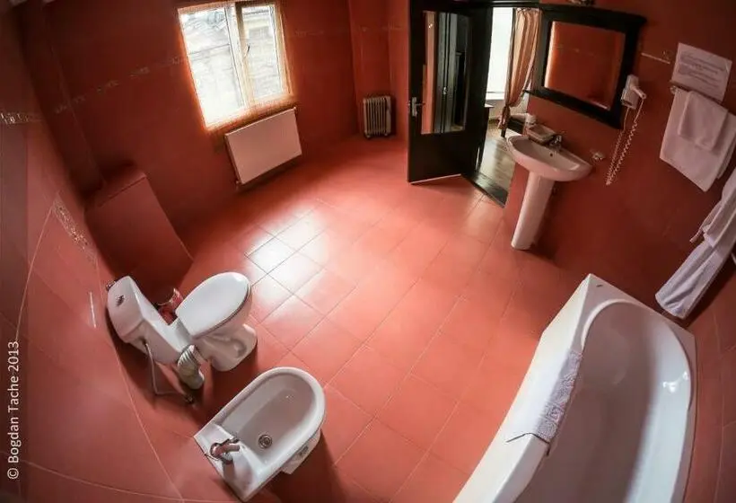 اتاق کلاس بیزنس, Residenza Dutzu Boutique