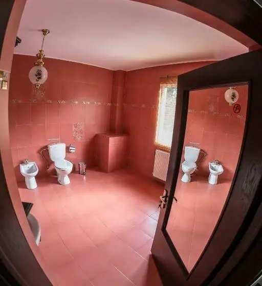 اتاق کلاس بیزنس, Residenza Dutzu Boutique