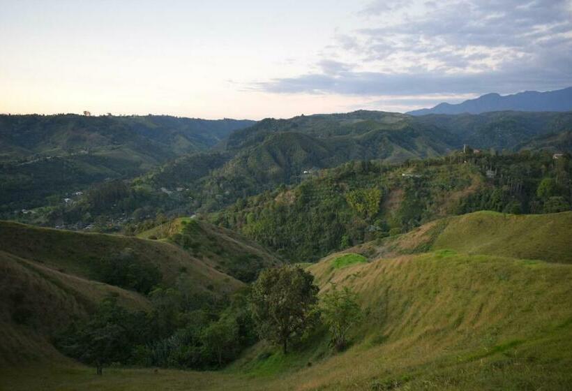 غرفة قياسية ثلاثية, Ecofinca Salento