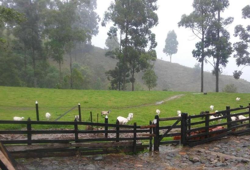 غرفة قياسية, Ecofinca Salento