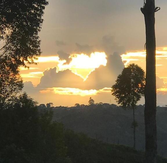 غرفة قياسية, Ecofinca Salento