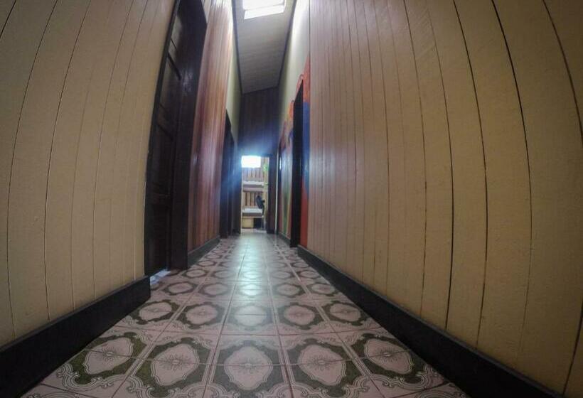 غرفة قياسية, Hostel Casa De Las Palmas Tours