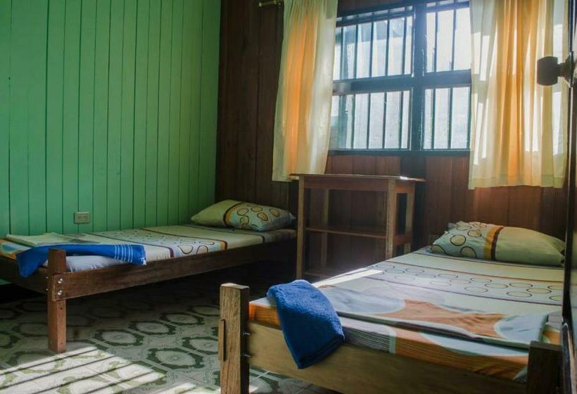 غرفة قياسية, Hostel Casa De Las Palmas Tours