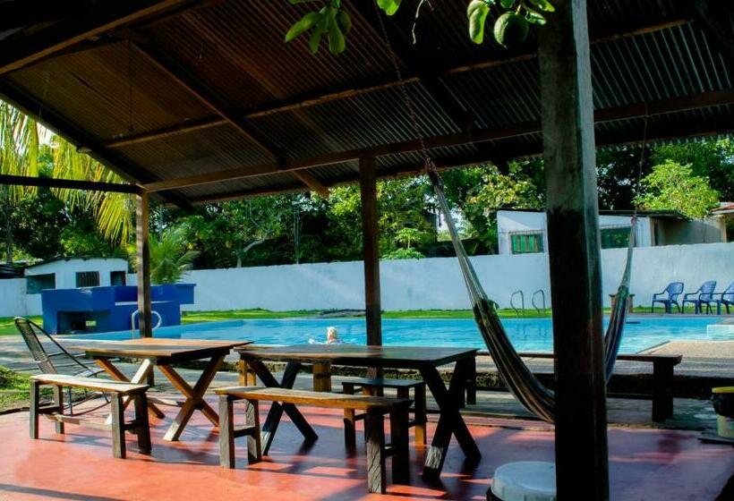 غرفة قياسية, Hostel Casa De Las Palmas Tours