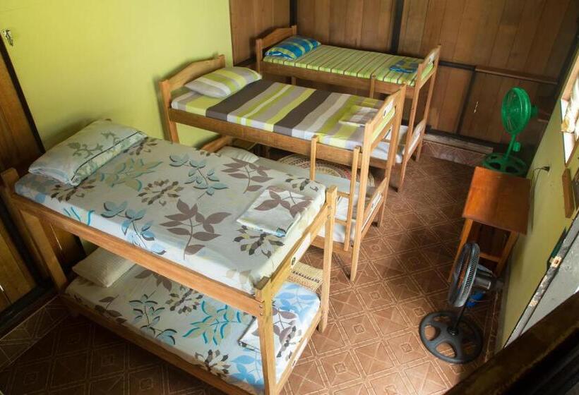 سرير فى غرفة مشتركه, Hostel Casa De Las Palmas Tours