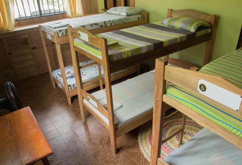 سرير فى غرفة مشتركه, Hostel Casa De Las Palmas Tours