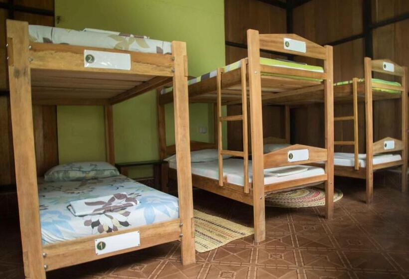 Кровать в Общей Комнате, Hostel Casa De Las Palmas Tours