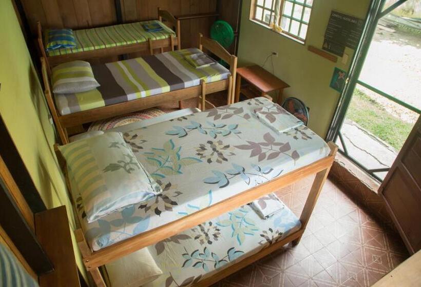 سرير فى غرفة مشتركه, Hostel Casa De Las Palmas Tours