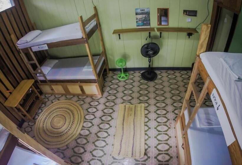 سرير فى غرفة مشتركه, Hostel Casa De Las Palmas Tours