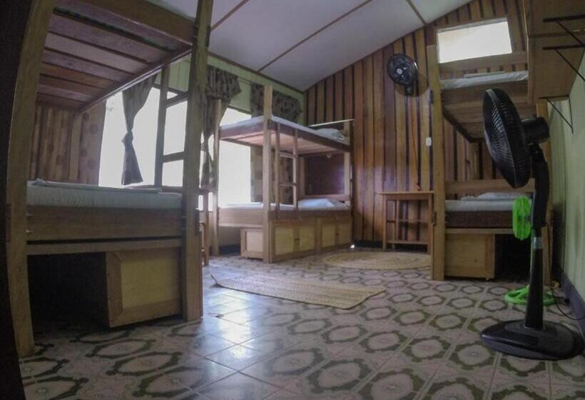 سرير فى غرفة مشتركه, Hostel Casa De Las Palmas Tours