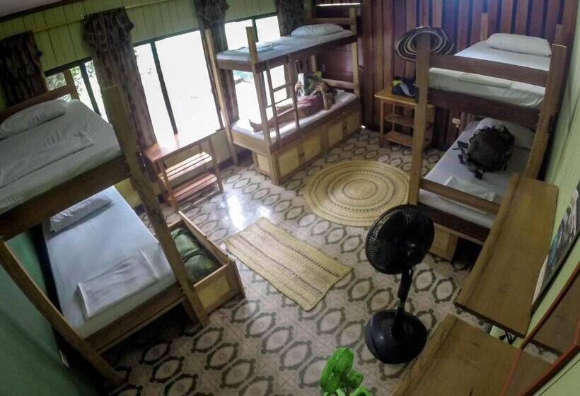 سرير فى غرفة مشتركه, Hostel Casa De Las Palmas Tours