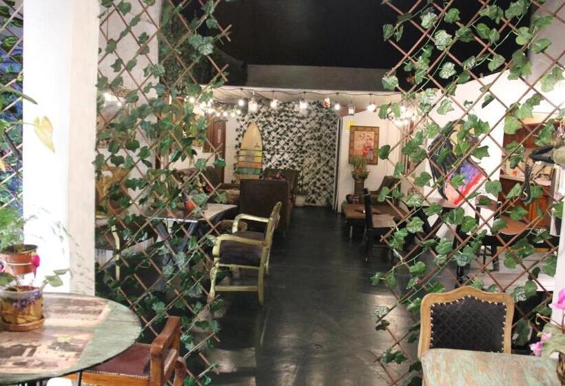 スタンダード４人部屋, Il Riposo