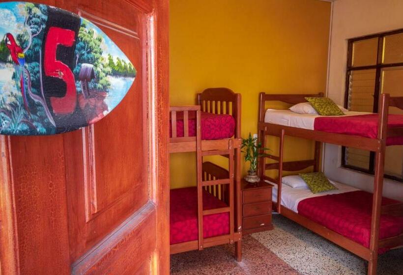 共用房间的床, Flying Dog Hostel Iquitos