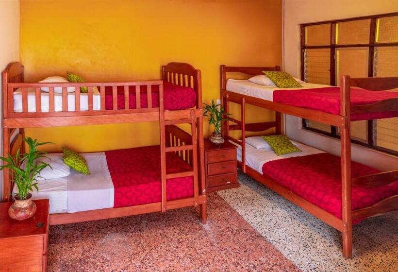 共用房间的床, Flying Dog Hostel Iquitos