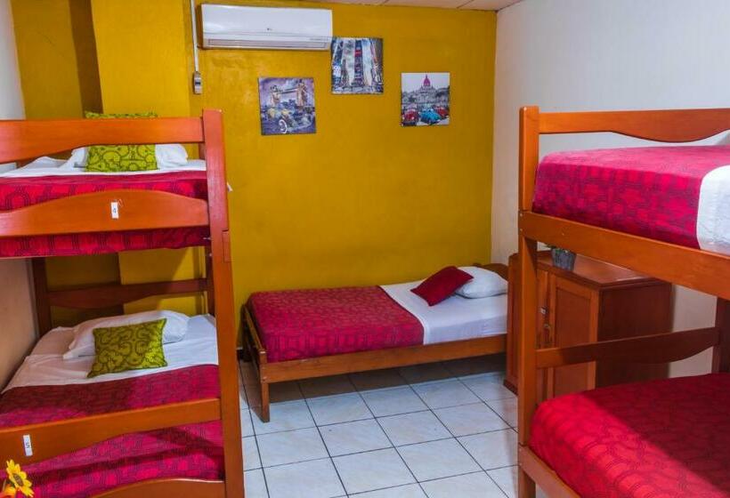共用房间的床, Flying Dog Hostel Iquitos