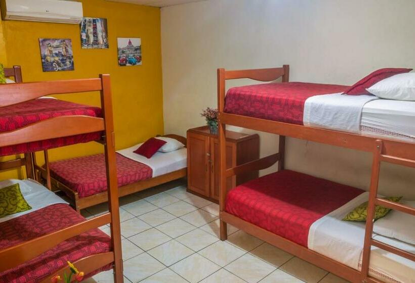 共用房间的床, Flying Dog Hostel Iquitos