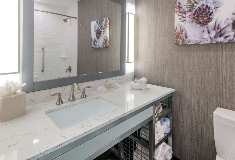 غرفة بريميوم, Hilton Garden Inn Arvada Denver, Co