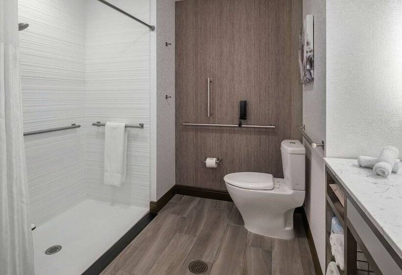 غرفة قياسية لذوى الاحتياجات الخاصة, Hilton Garden Inn Arvada Denver, Co