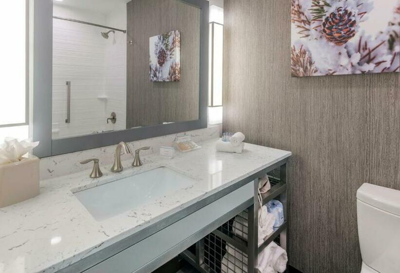 غرفة ديلوكس ذات إطلالة, Hilton Garden Inn Arvada Denver, Co