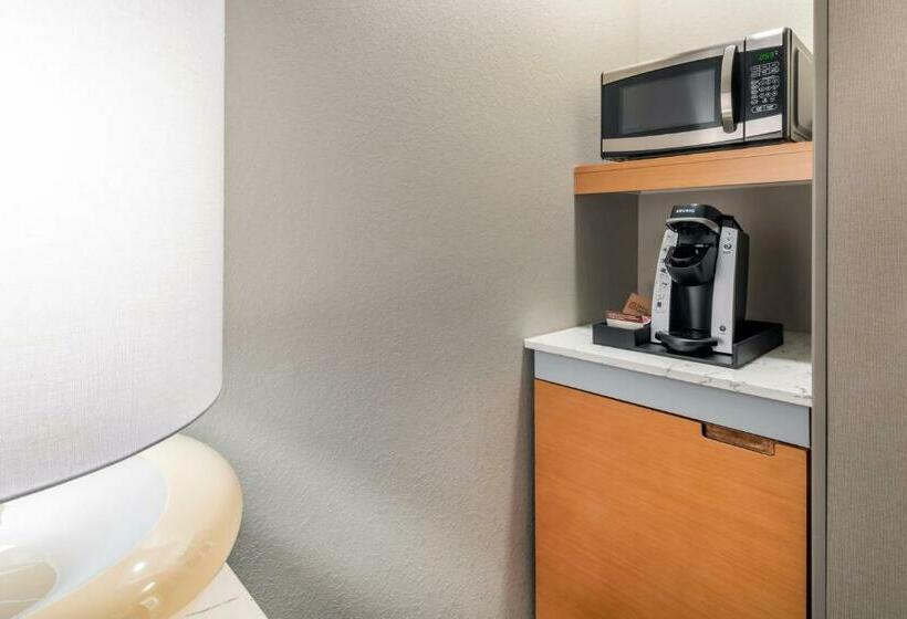 غرفة ديلوكس ذات إطلالة, Hilton Garden Inn Arvada Denver, Co