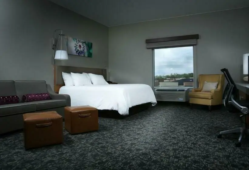 景色の見えるデラックスルーム, Hilton Garden Inn Arvada Denver, Co