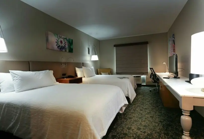 ２ダブルベッドのスタンダードルーム, Hilton Garden Inn Arvada Denver, Co
