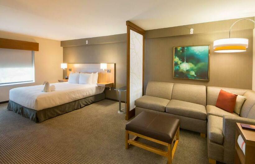 Стандартный Номер Кровать Кинг, Hyatt Place Orlando/lake Buena Vista