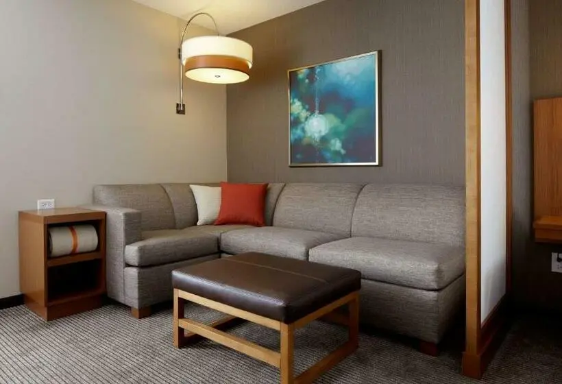 ファミリールーム, Hyatt Place Orlando/lake Buena Vista