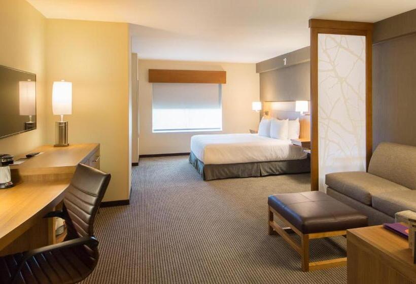 Номер Стандарт Кровать Кинг Адаптированный для Инвалидов, Hyatt Place Orlando/lake Buena Vista